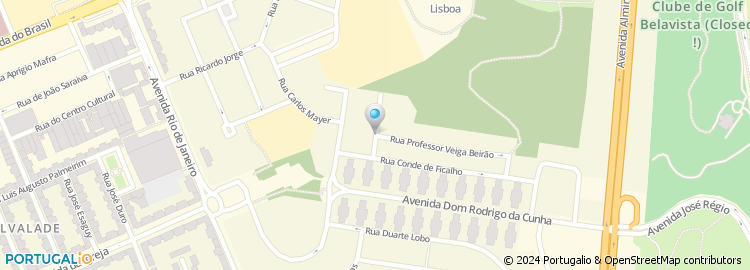 Mapa de Rua Carlos Lobo de Ávila