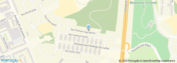 Mapa de Rua Professor Veiga Beirão