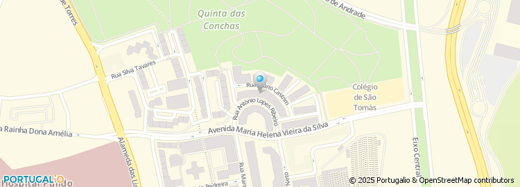 Mapa de Live In Joy, Lda