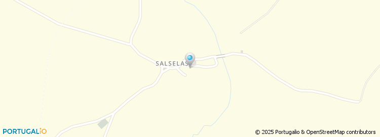 Mapa de Salselas