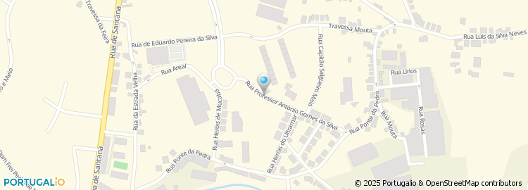 Mapa de Rua de António Lopes da Silva