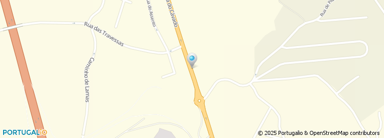Mapa de Manuel Ribeiro Silva