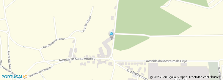 Mapa de Manuel Rodrigues Couto