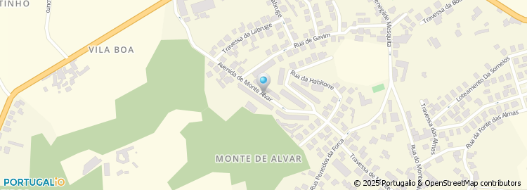 Mapa de Manuel Vieira Fernandes
