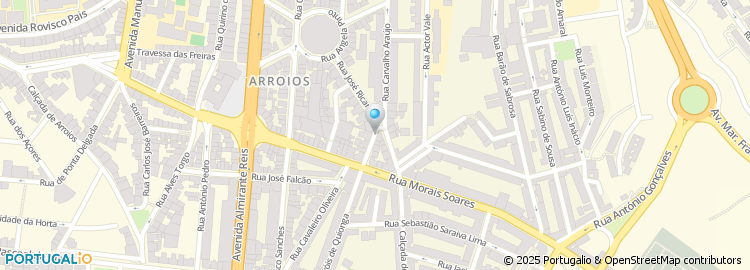 Mapa de Maria Conceição Carvalho