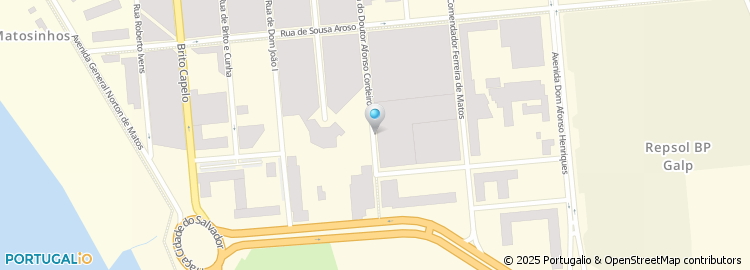 Mapa de Maria Irene Neves