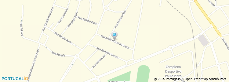Mapa de Maria J Tavares Silva