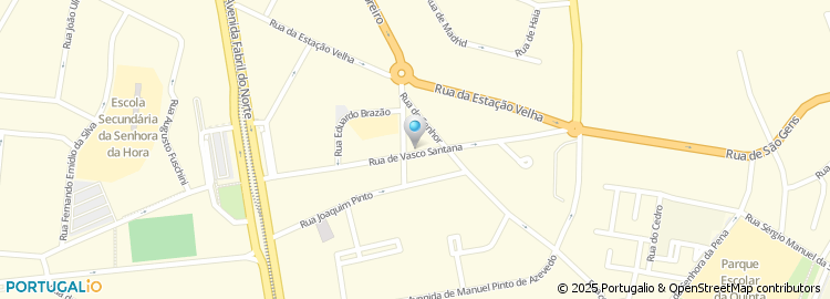 Mapa de Rua Vasco Santana