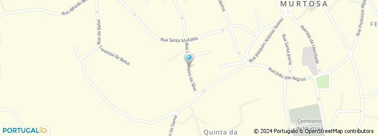 Mapa de Rua Luís Carneiro da Silva