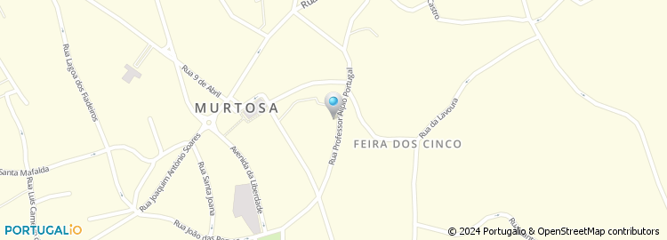 Mapa de Rua Professor Alípio Portugal