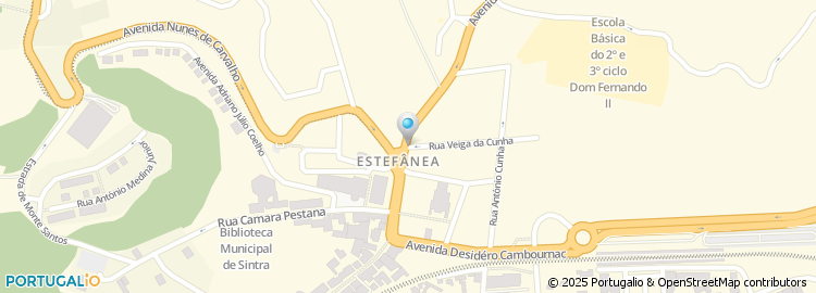 Mapa de Nelson Ferreira da Silva, Lda