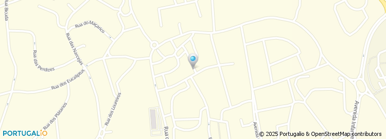 Mapa de Nexology, Unipessoal Lda