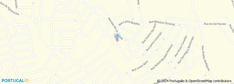 Mapa de Rua Alfeu Gaspar do Amaral