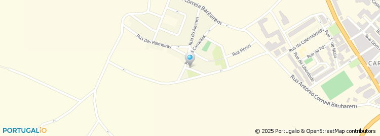 Mapa de Pavizes, Lda