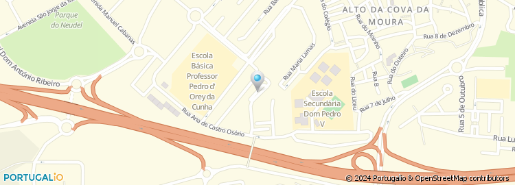 Mapa de Peles Aida Oliveira
