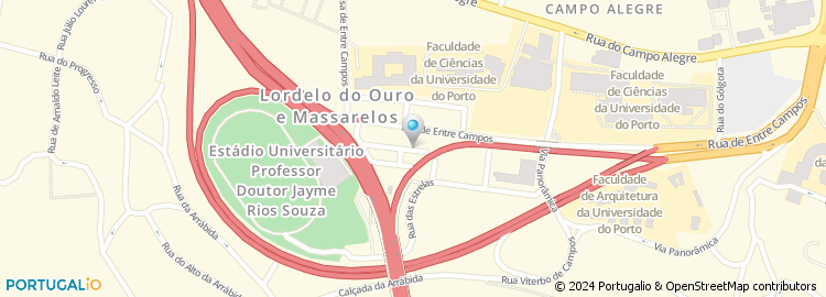 Mapa de Rua Delfim Pereira da Costa