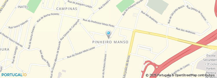 Mapa de Rua Pinheiro Manso