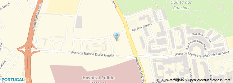 Mapa de Positive Dynasty, Lda