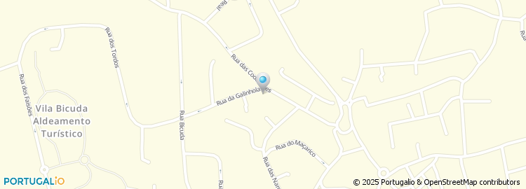 Mapa de Puzhong - Investment Group, Lda