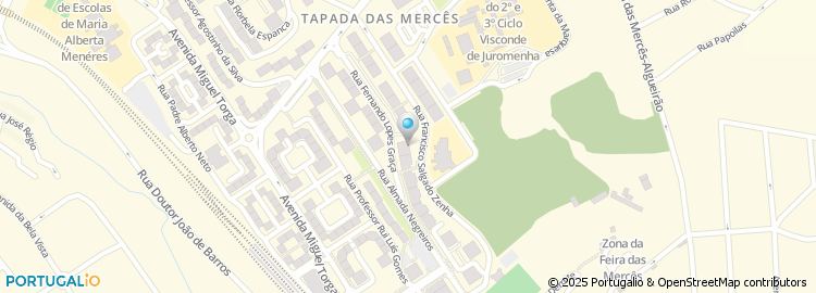 Mapa de Ricardo Nunes - Tours, Unipessoal Lda