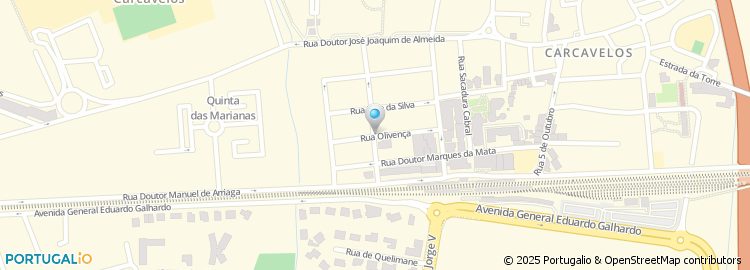 Mapa de Ruth Neto Afonso