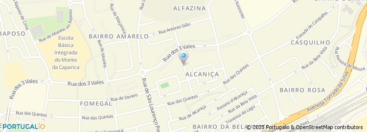 Mapa de S. Pereira Leão Limitada