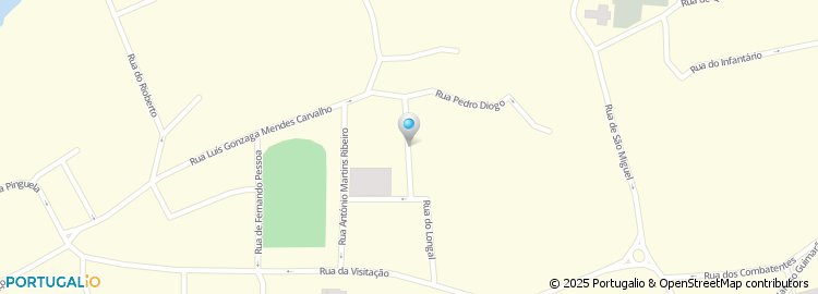 Mapa de Rua Professor Mário Figueiredo