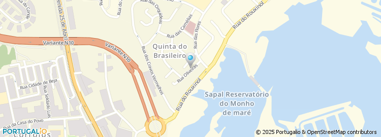 Mapa de Rua das Oliveiras