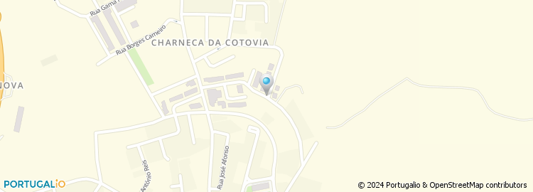 Mapa de Rua Ruy Coelho