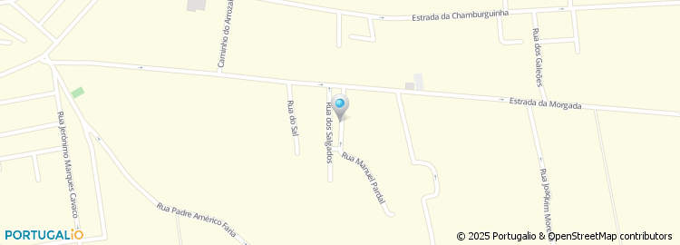 Mapa de Rua Manuel Pardal