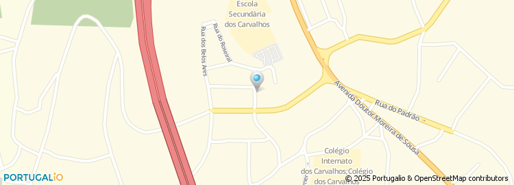 Mapa de Silvino Pereira Silva