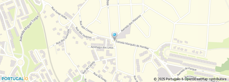 Mapa de Calçada da Rinchoa