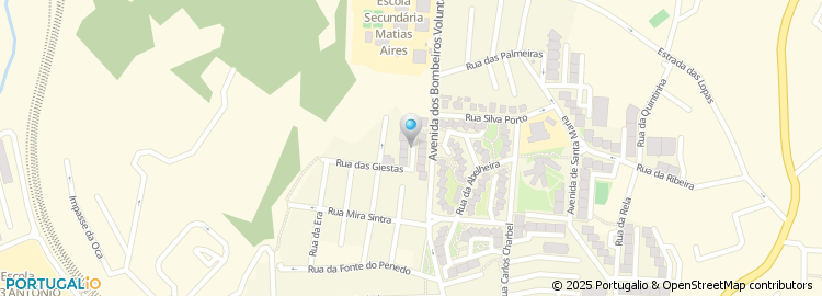 Mapa de Rua do Azevinho
