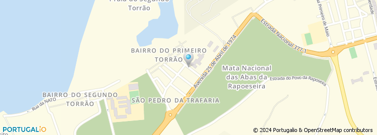 Mapa de Teresa M M T Couceiro Neto