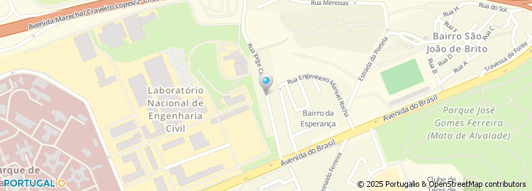 Mapa de Teresa M M T Couceiro Neto