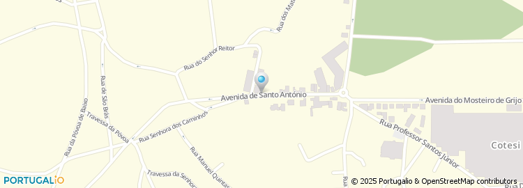 Mapa de Avenida de Santo António
