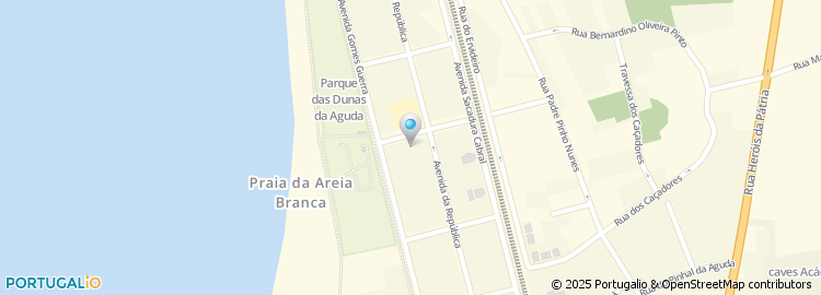 Mapa de Avenida Pedra Aguda