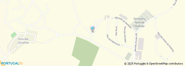 Mapa de Avenida Pedro Hispano
