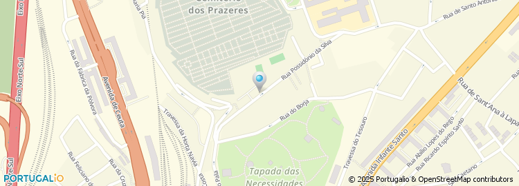 Mapa de Violeta Dores Tavares